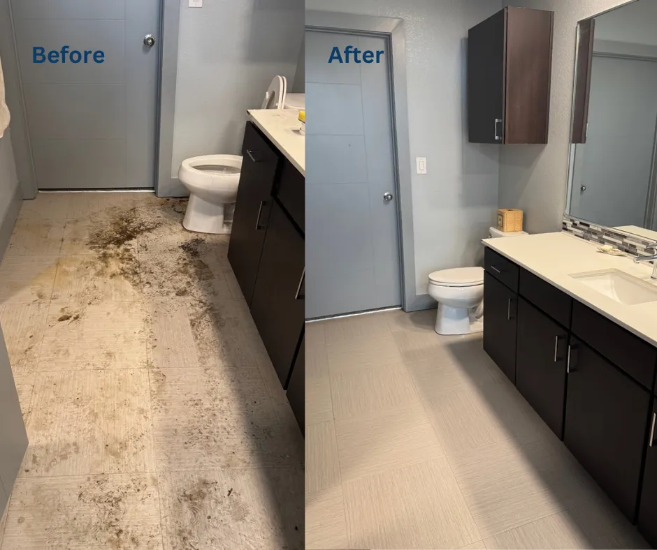 Neat N Tidy House Cleaning Of Denver